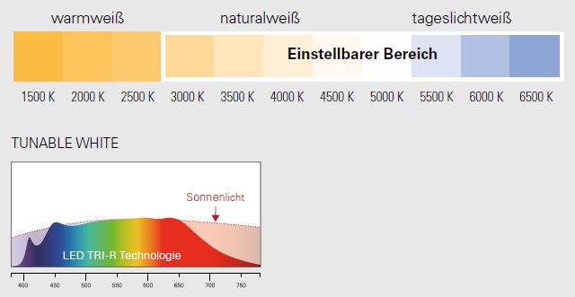 CCT- Vollspektrum- LED: Einstellbare weiße Farbtemperatur