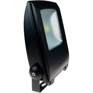 LED- Fluter mit Vollspektrumlicht, 35W, IP65