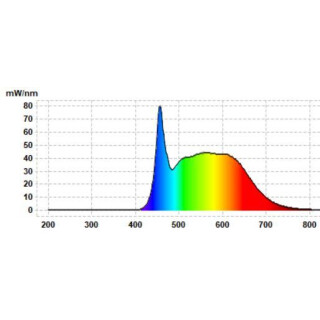 LED- Fluter mit Vollspektrumlicht, 35W, IP65