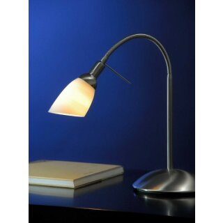 Shielded Desktop Lamp, Light Shower